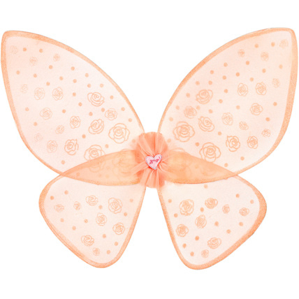 Avis Ailes Rosanna SOUZA 1