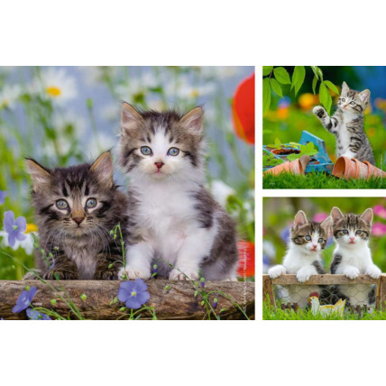 Avis Puzzle Chatons tigrés - de 5 ans RAVENSBURGER 2