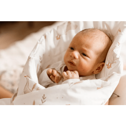 Avis Gigoteuse d'emmaillotage Mon Lit Cabane 7