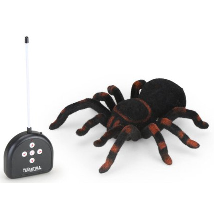 Avis Tarentule radiocommandée TEAM CITY 1
