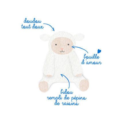 Avis Bouillotte Peluche aux Pépins de Raisin +6mois DODIE 5