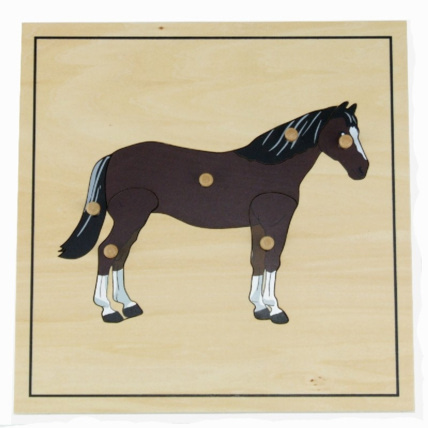 Avis Puzzle du cheval avec squelette ambiance montessori 1