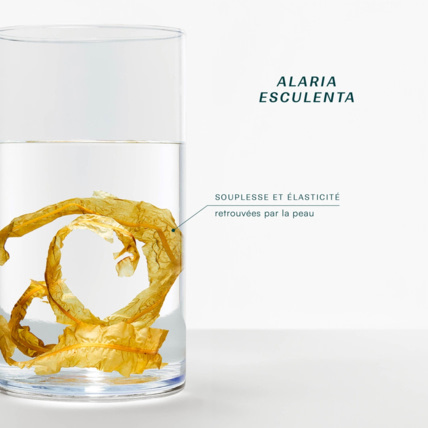 Avis Crème corps scintillante Laboratoires de Biarritz 5