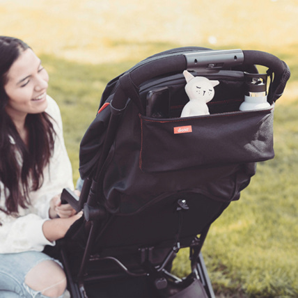 Avis Organisateur Buggy Buddy Noir DIONO 2