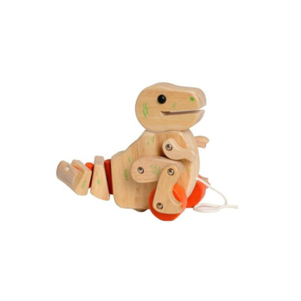Avis Dinosaure T-Rex à tirer EVEREARTH 1