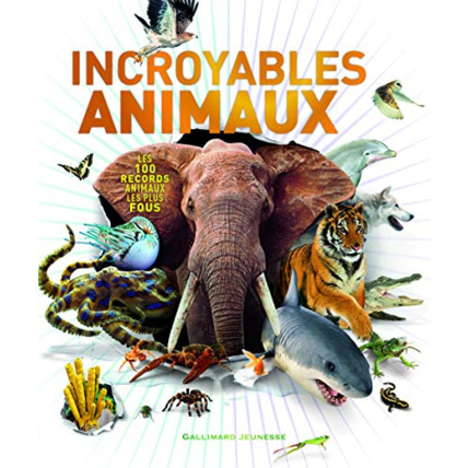 Avis Livre Incroyables Animaux GALLIMARD JEUNESSE 1
