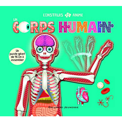 Avis Livre Construis Et Anime Un Corps Humain GALLIMARD JEUNESSE 1