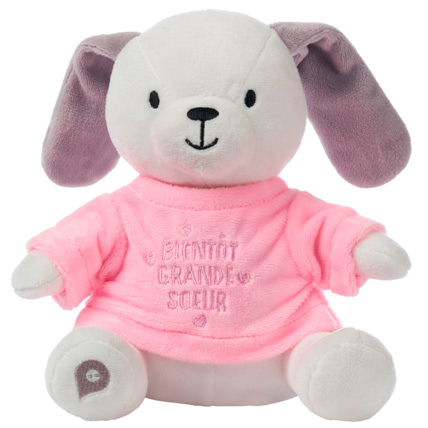 Avis Habillage pour peluche annonce de naissance "tu vas être grande soeur" Prémaman 1