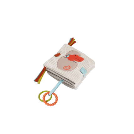 Avis Livre d'éveil 2 en 1 - Les Amis Dinos Little Big Friends 1