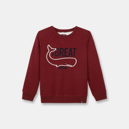 Avis Sweat-shirt doublé rouge garçon OKAIDI 1