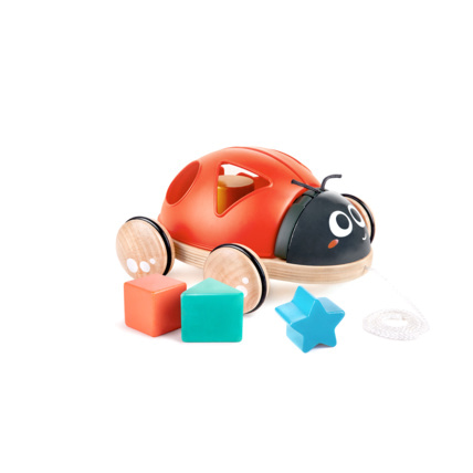 Avis Coccinelle à tirer trieuse de formes HAPE 2