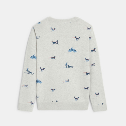 Avis Sweat-shirt imprimé SNOW gris garçon OKAIDI 3