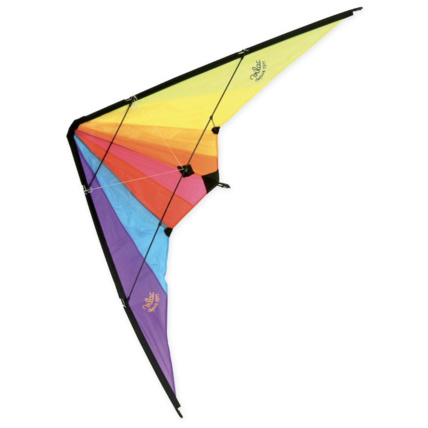 Avis Cerf-volant Delta VILAC 2