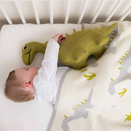Avis Couverture en coton bio, Dinosaure Sevira Kids 4