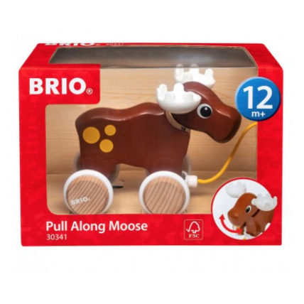 Avis Caribou à tirer BRIO 1