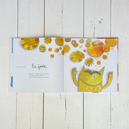 Avis Livre La couleur des émotions Petit Picotin 4