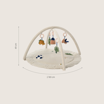 Avis Arche D'éveil Pour «Dino» Petite Amélie 5