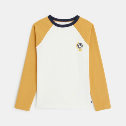 Avis T-shirt bicolore à message "Free as the World" jaune garçon OKAIDI 2