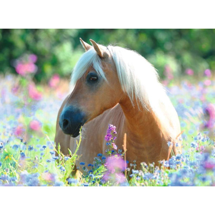 Avis Puzzle Cheval dans la prairie - de 9 ans RAVENSBURGER 2