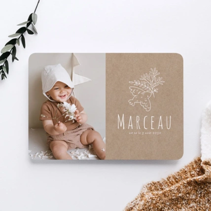 Avis Faire-part naissance Cotton Bird 1