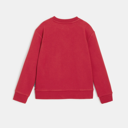 Avis Sweat-shirt Mountain Expedition rouge garçon OKAIDI 4