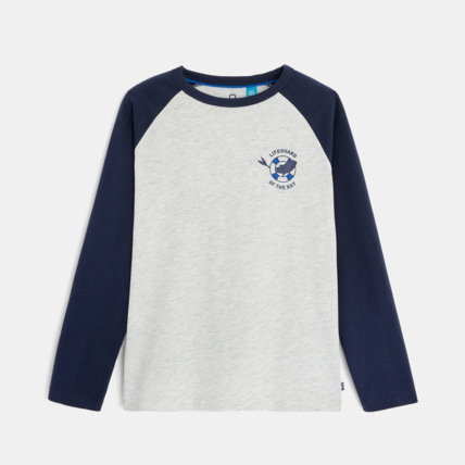 Avis T-shirt bicolore bleu garçon OKAIDI 1