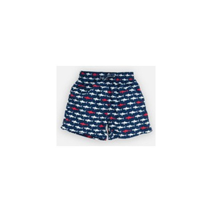 Avis Sharky Daddy Boxer Archimède NOUKIE'S 1