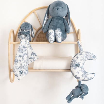 Avis Lapin musical Augustin TARTINE ET CHOCOLAT 1