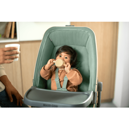 Avis Meal Kit pour berceau Alba Maxi-Cosi 1