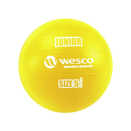 Avis Ballon de volley-ball Junior Wesco 5