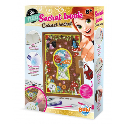 Avis Carnet secret Buki France 1