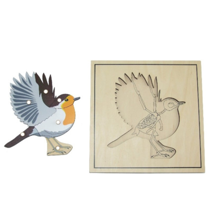 Avis Puzzle de l'oiseau avec squelette ambiance montessori 1