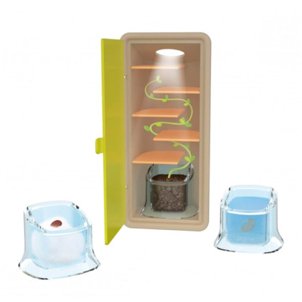 Avis Coffret petites pousses Buki France 2