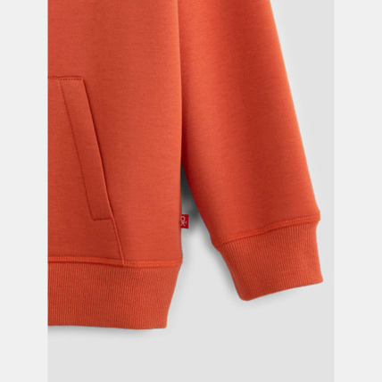 Avis Sweat à capuche orange garçon OKAIDI 4