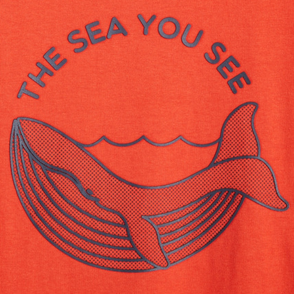 Avis T-shirt à motif orange garçon OKAIDI 3
