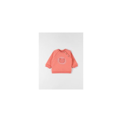 Avis Sweat lion NOUKIE'S 2