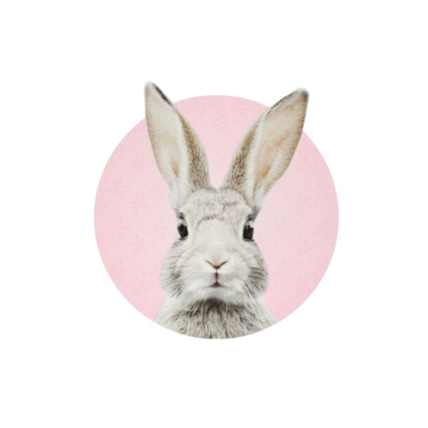 Avis Sticker lapin Stephan Mon Lit Cabane 1