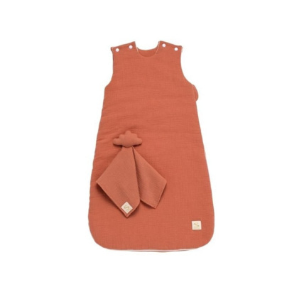 Avis Gigoteuse avec doudou mouchoir uni Sauthon 3