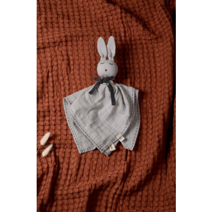 Avis Doudou lapin KADOLIS 3