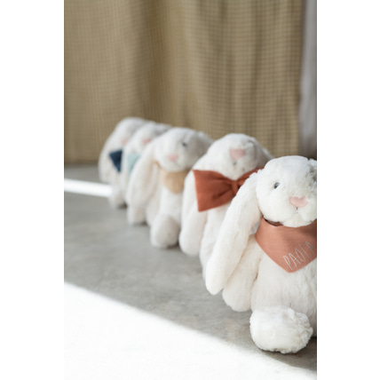 Avis Patrick le Lapin unique Petit Picotin 4