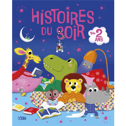 Avis Livre Histoires du soir Éditions Lito 1