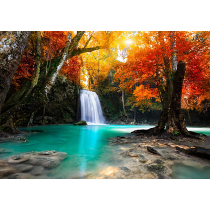 Avis Puzzle Cascade dans la Forêt GRAFIKA 1