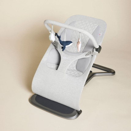 Avis Arche de jeux pour transat Evolve Ergobaby 7
