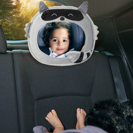 Avis Miroir Raton Laveur DIONO 2