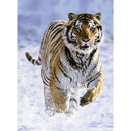 Avis Puzzle - Tigre dans la neige - 500 pièces RAVENSBURGER 1