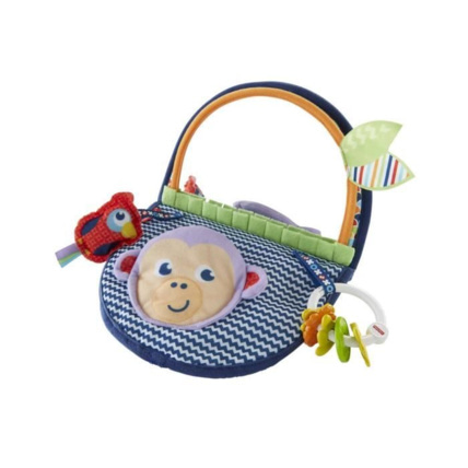 Avis Hochet Miroir de la jungle Fisher-Price 1