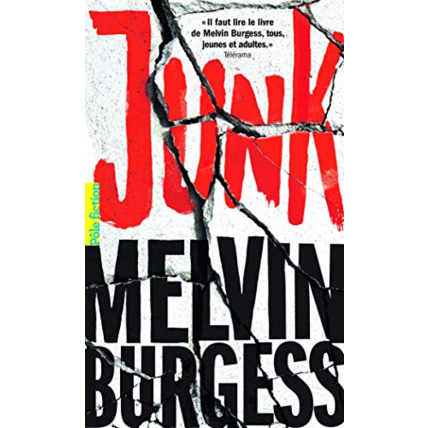 Avis Livre Junk GALLIMARD JEUNESSE 1
