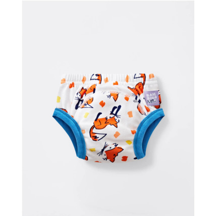 Avis Culotte d'apprentissage lavable révolutionnaire BAMBINO MIO 2