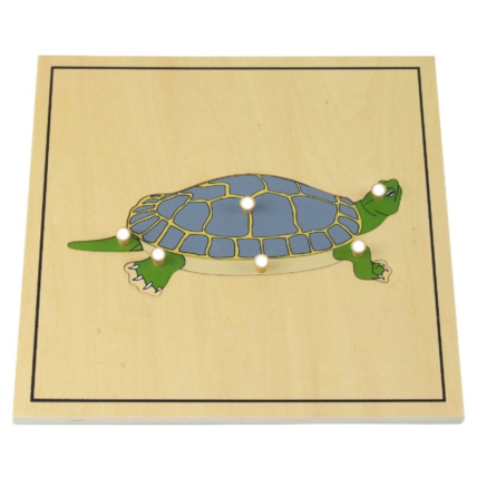 Avis Puzzle de la tortue avec squelette ambiance montessori 1