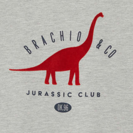 Avis T-shirt manches longues Jurassic Club gris garçon OKAIDI 2